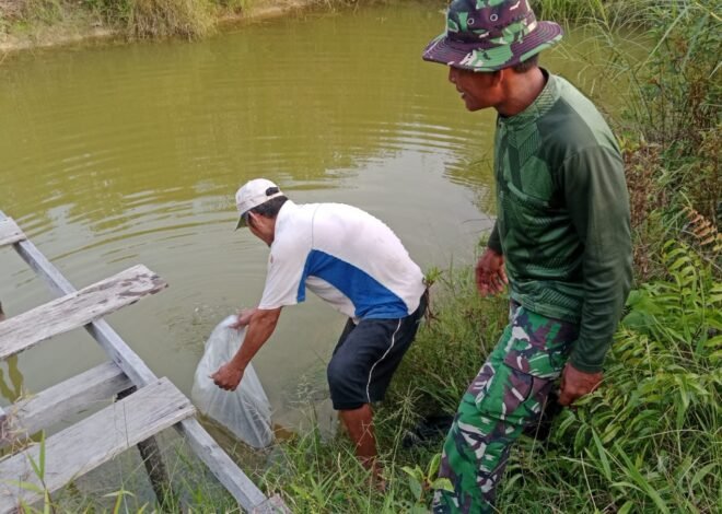 Dari Bibit Jadi Penghasilan, Satgas TMMD Ke-129 Dorong Warga Kapuas Hulu Kembangkan Budidaya Ikan