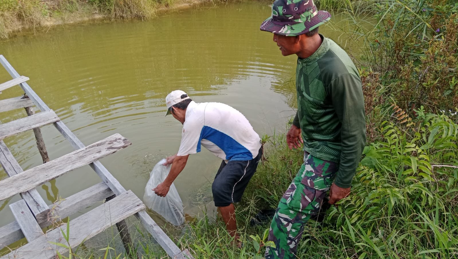 Dari Bibit Jadi Penghasilan, Satgas TMMD Ke-129 Dorong Warga Kapuas Hulu Kembangkan Budidaya Ikan
