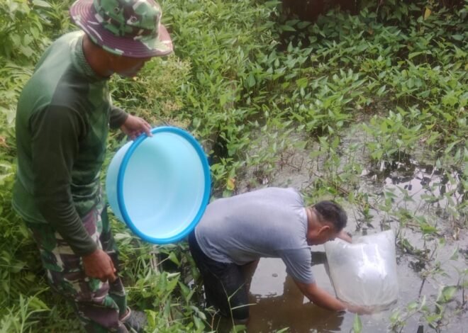 Tak Hanya Bangun Infrastruktur, Satgas TMMD Ke-129 Bekali Warga dengan Bibit dan Pengetahuan Budidaya Ikan