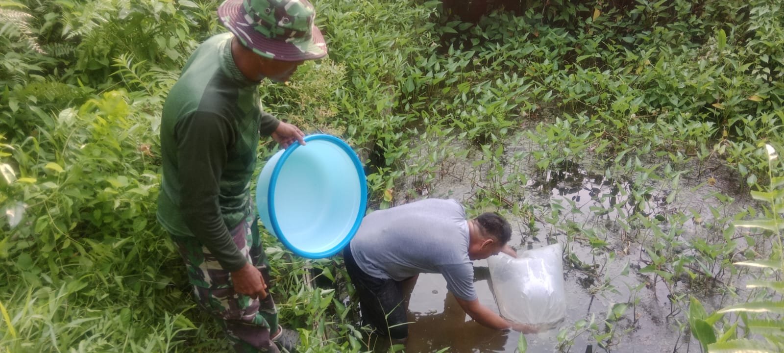 Tak Hanya Bangun Infrastruktur, Satgas TMMD Ke-129 Bekali Warga dengan Bibit dan Pengetahuan Budidaya Ikan