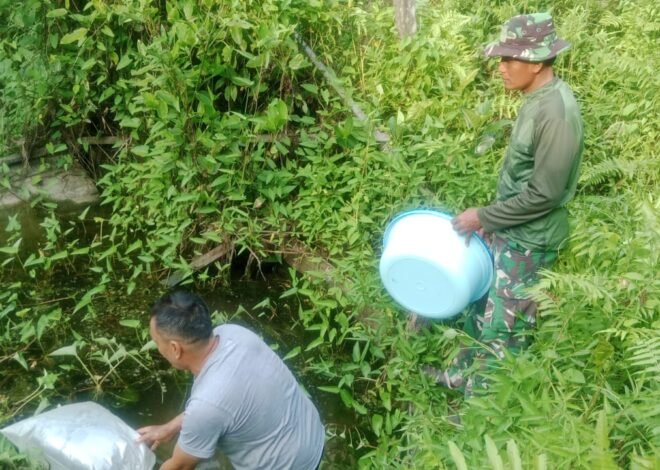 Sinergi TNI dan Warga, Satgas TMMD Ke-129 Kodim 1206/Putussibau Bangun Kemandirian Pangan Lewat Budidaya Ikan