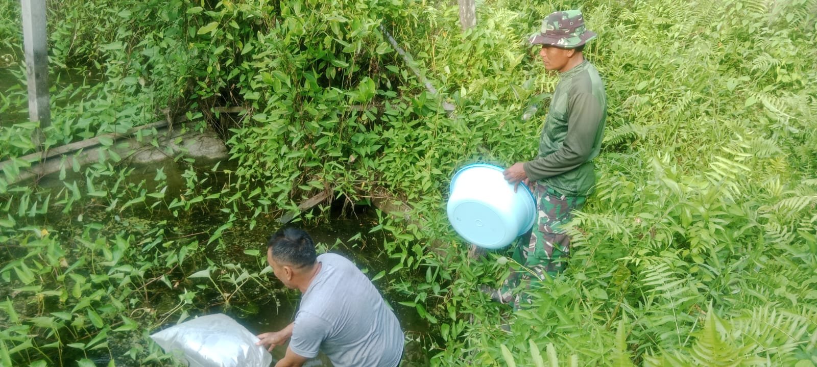 Sinergi TNI dan Warga, Satgas TMMD Ke-129 Kodim 1206/Putussibau Bangun Kemandirian Pangan Lewat Budidaya Ikan