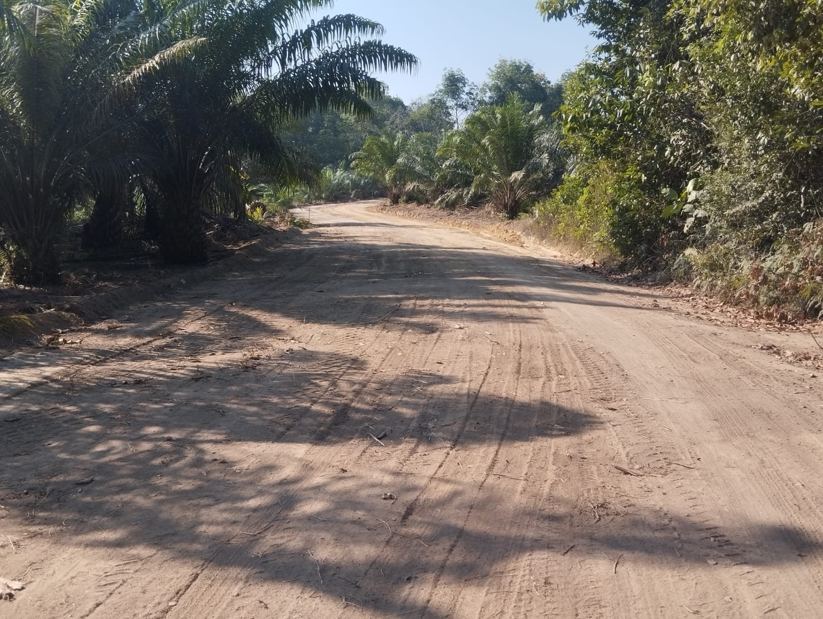 Jalan Deniang–Penyamun Rampung, Akses Ekonomi Warga Kabupaten Bangka Makin Terbuka