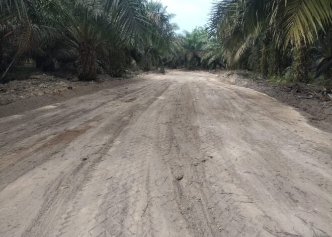 Jalan Penghubung Deniang–Penyamun Selesai, Petani Kini Punya Akses Lebih Lancar Angkut Hasil Bumi