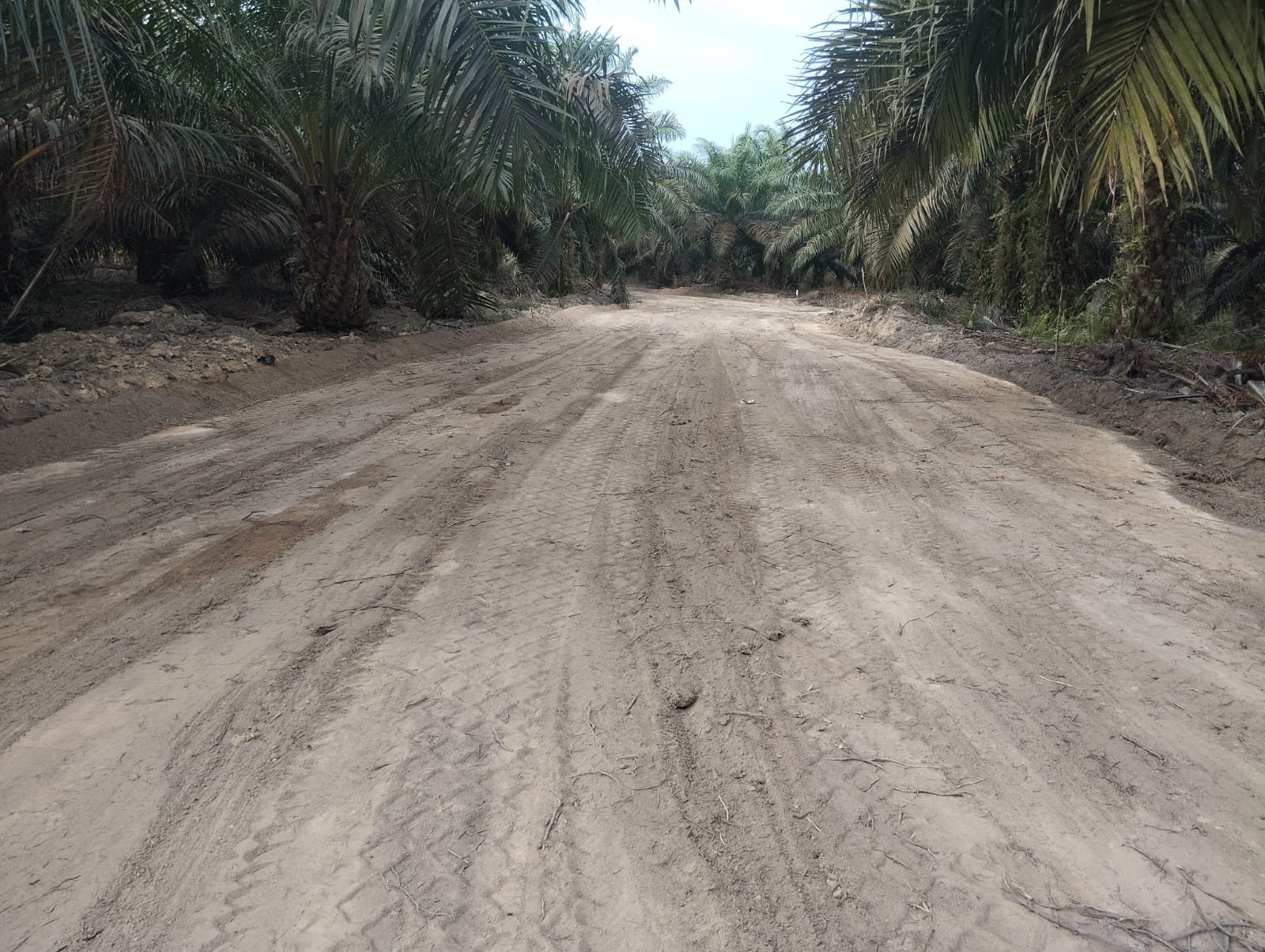 Jalan Penghubung Deniang–Penyamun Selesai, Petani Kini Punya Akses Lebih Lancar Angkut Hasil Bumi