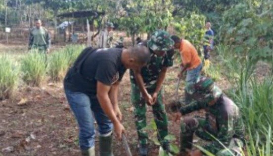 Lahan Kosong Disulap Jadi Kebun Produktif, Satgas TMMD Dorong Kemandirian Pangan Warga Pidie