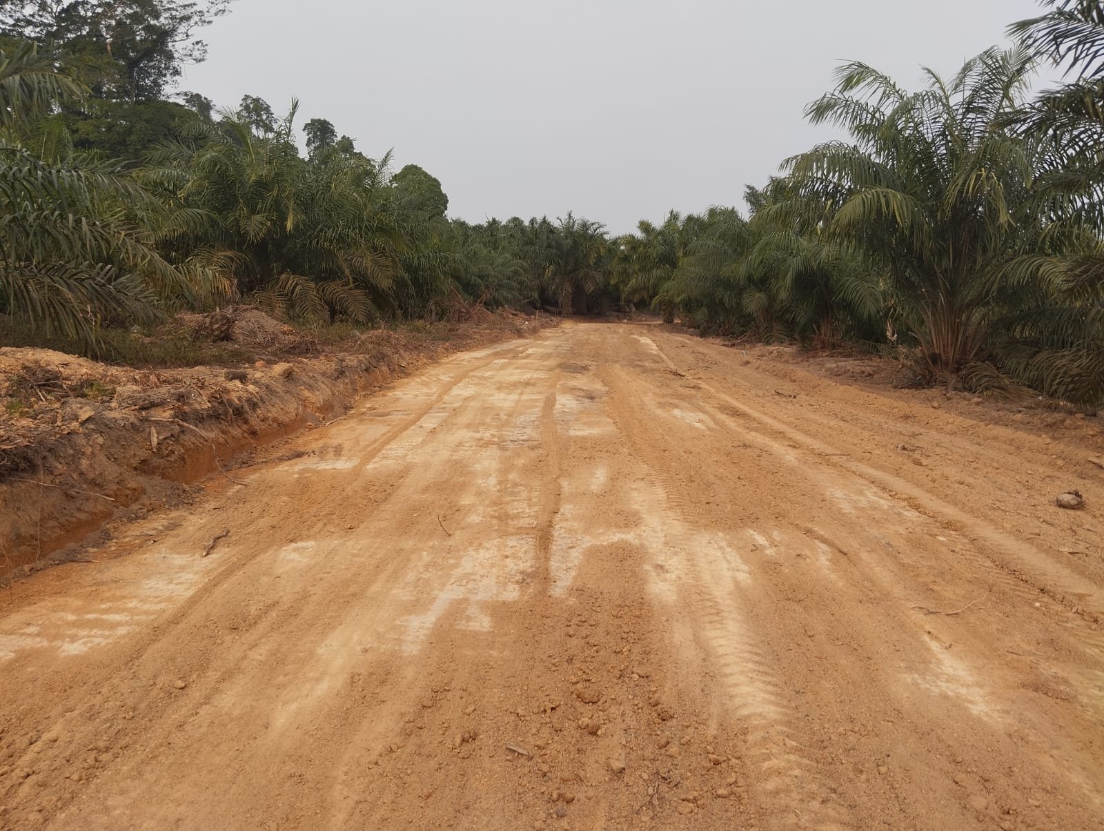 TMMD ke-129 Buka Konektivitas Baru, Jalan Deniang–Penyamun Kini Bisa Dilalui Lebih Nyaman