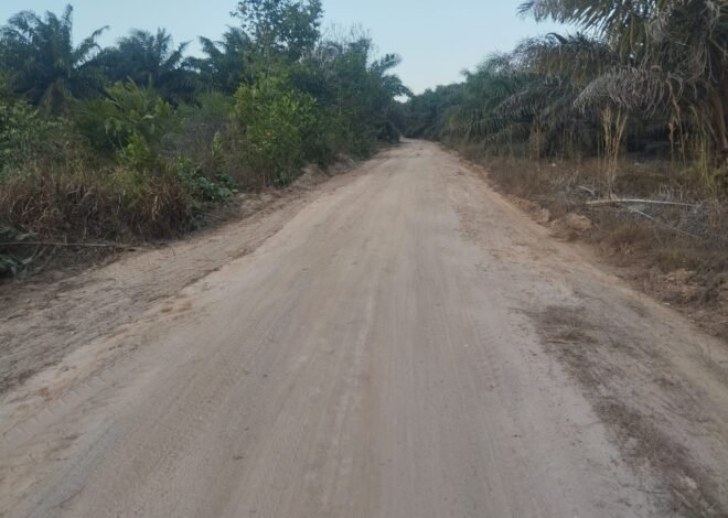 Tak Lagi Terbatas, Jalan Deniang–Penyamun Jadi Akses Strategis untuk Warga Bangka