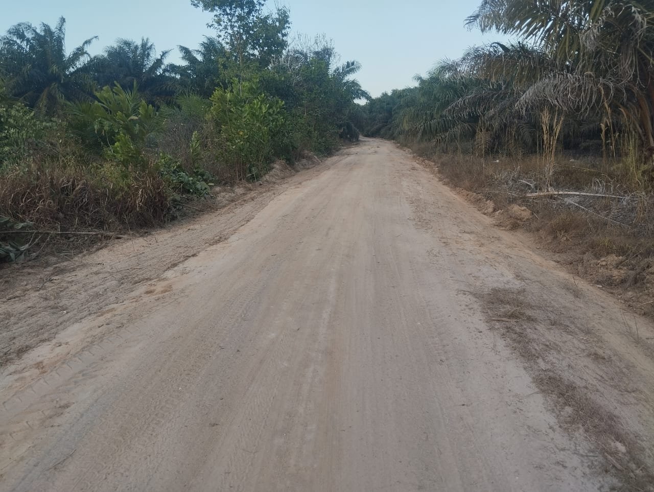 Tak Lagi Terbatas, Jalan Deniang–Penyamun Jadi Akses Strategis untuk Warga Bangka