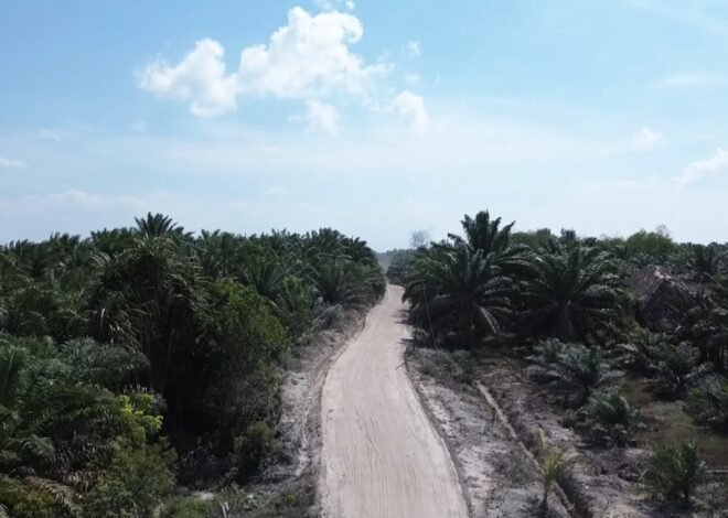 Jalan Penghubung Deniang-Penyamun Rampung, Harapan Baru bagi Ekonomi Warga