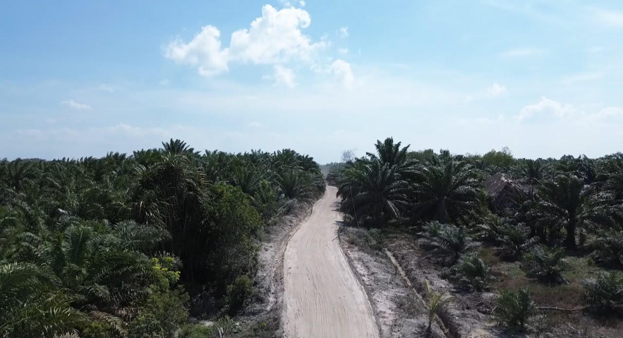 Jalan Penghubung Deniang-Penyamun Rampung, Harapan Baru bagi Ekonomi Warga
