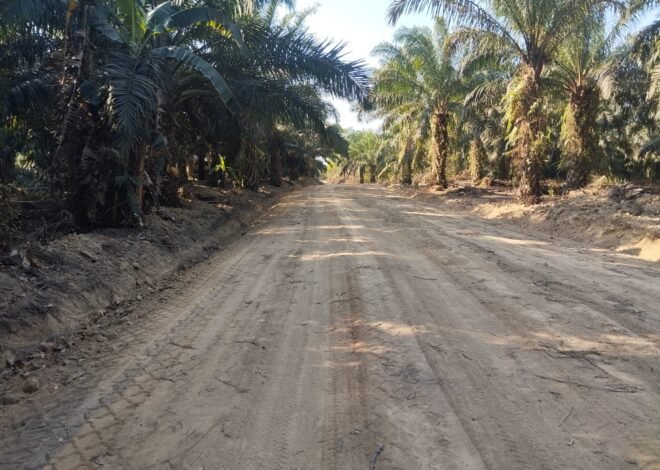 Akses Antardesa Kian Lancar, Jalan Deniang-Penyamun Rampung 100 Persen