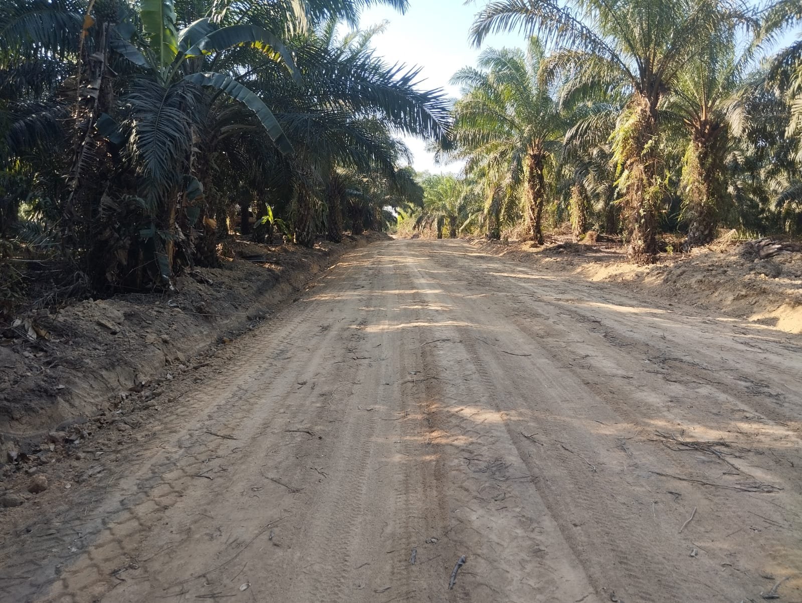 Akses Antardesa Kian Lancar, Jalan Deniang-Penyamun Rampung 100 Persen