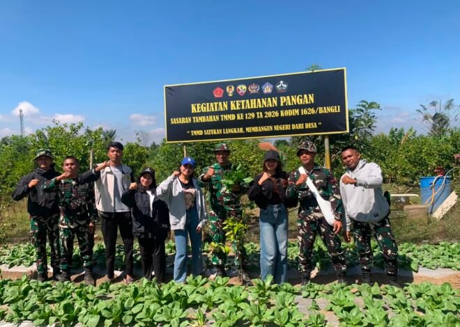 TMMD Ke-129 Kodim Bangli Dorong Kemandirian Pangan Lewat Budidaya Pakcoy