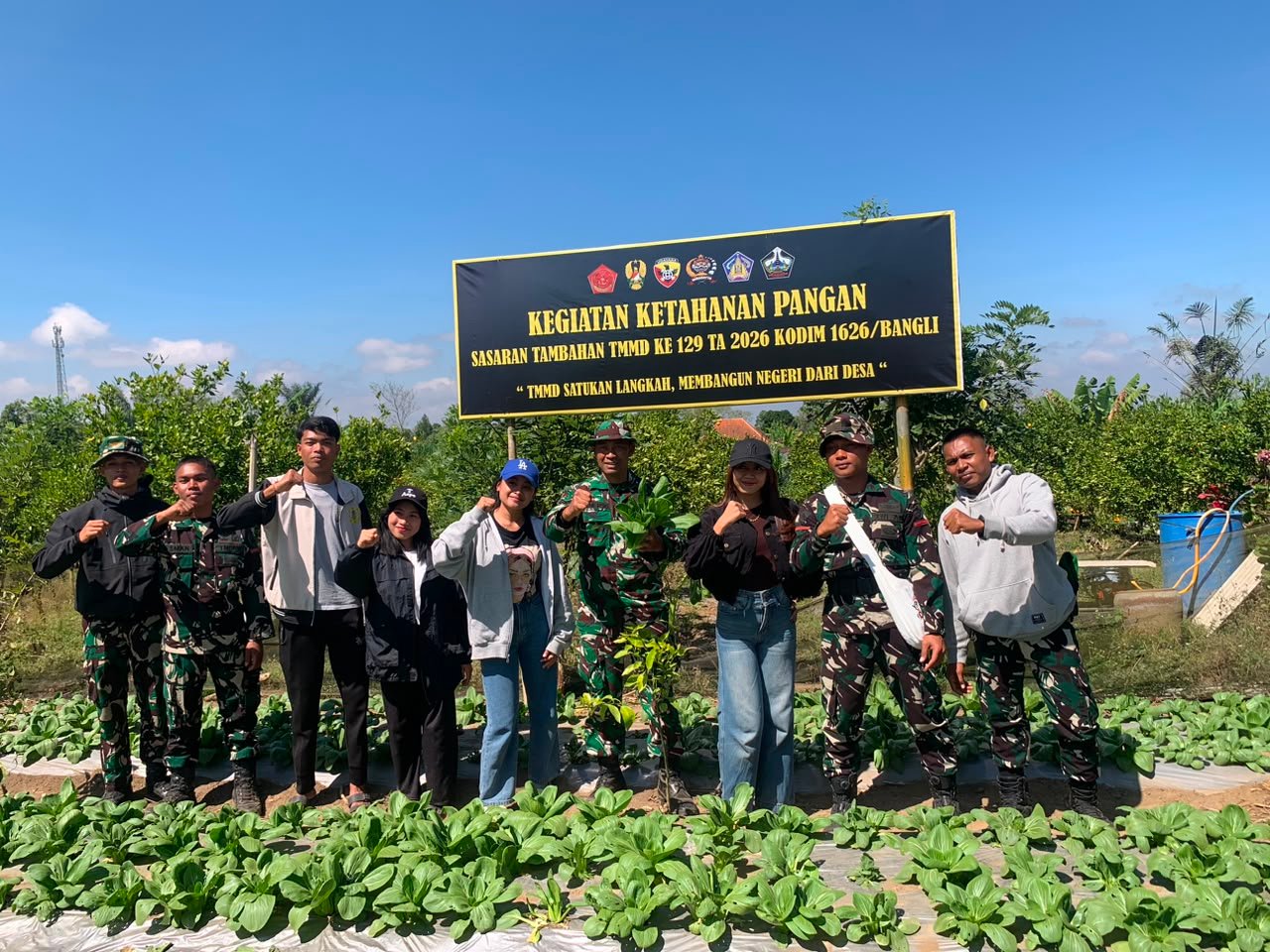 TMMD Ke-129 Kodim Bangli Dorong Kemandirian Pangan Lewat Budidaya Pakcoy