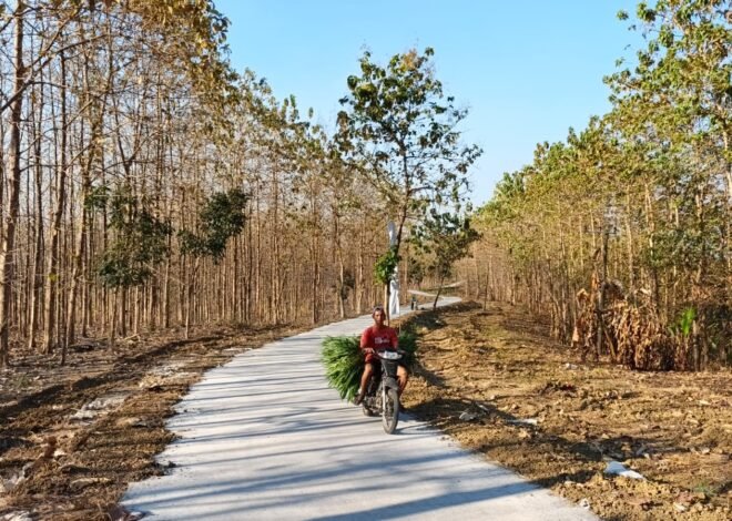 Bawa Angin Segar Kesejahteraan, Rampungnya Jalan Rabat Beton TMMD 129 Kodim 0812/Lamongan Pancarkan Kebahagiaan Tersendiri Bagi Warga Desa Tlemang