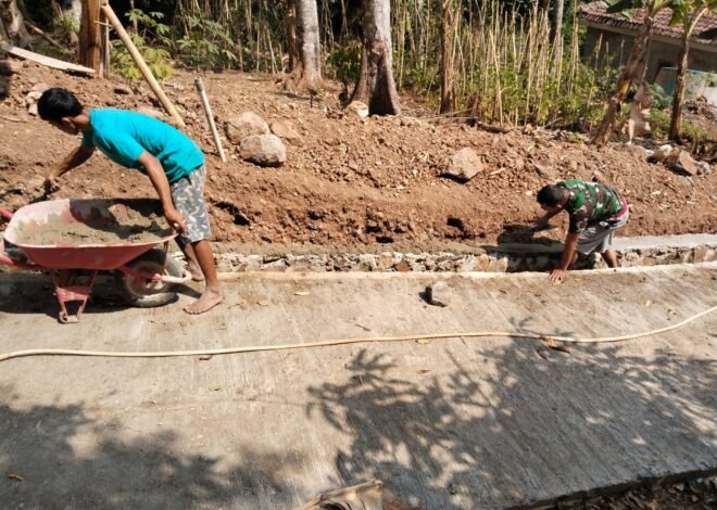 Pakcoy Segar Panen di Bangli, TNI Dukung Ketahanan Pangan Masyarakat Lokal