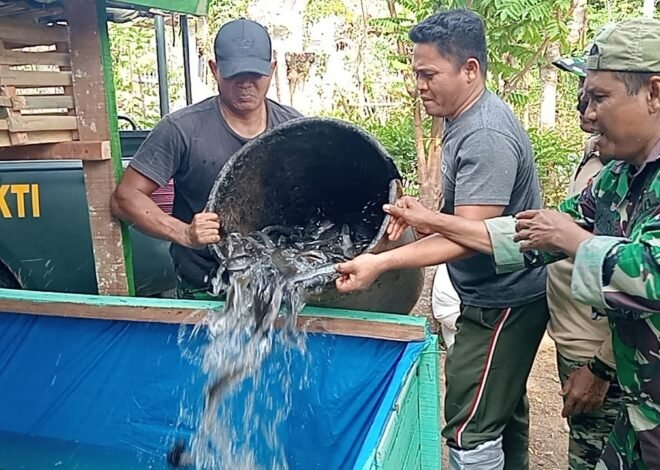 Satgas TMMD ke-129 Tebar Lele dan Isi Kandang Ayam Petelur di Lima Lokasi RTLH