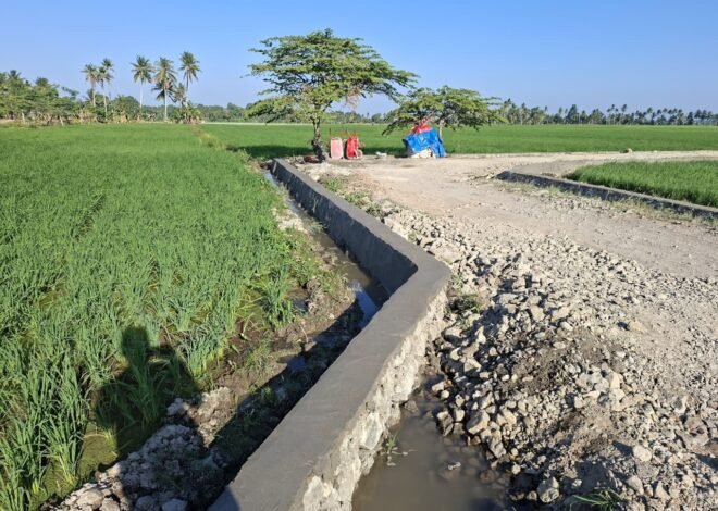 Impian petani Jadi Nyata, Jalan Tani TMMD Ke-129 Kodim 1404/Pinrang Nantinya Bikin Truk Langsung Masuk Ke Lahan Sawah