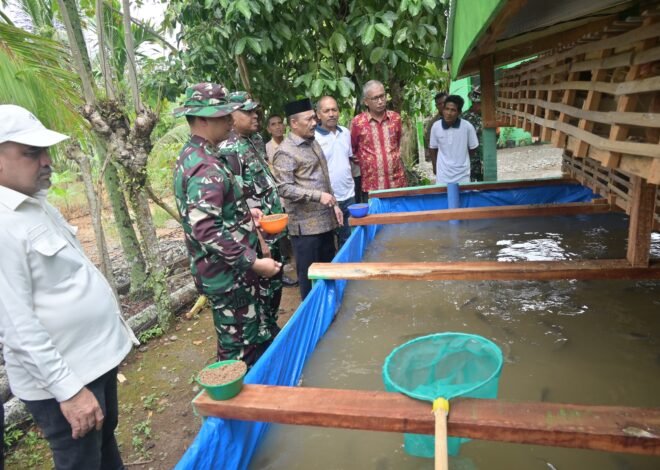 Danrem 011/Lilawangsa Tinjau Sasaran Tambahan TMMD ke-129, Kolam Lele dan Kandang Ayam Petelur