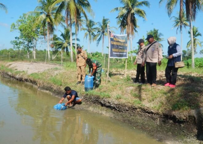 Budidaya Ikan Patin Jadi Peluang Ekonomi Baru Melalui Program TMMD Ke-129