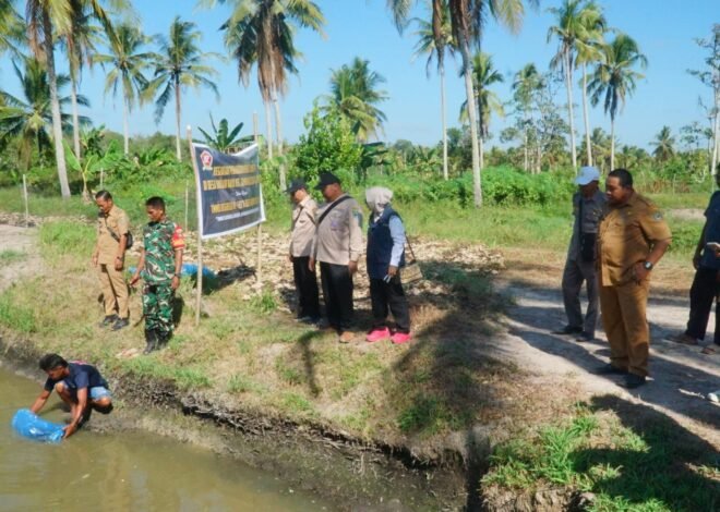 Penebaran 2.000 Bibit Ikan Patin Wujud Nyata TMMD Bangun Desa Berkelanjutan