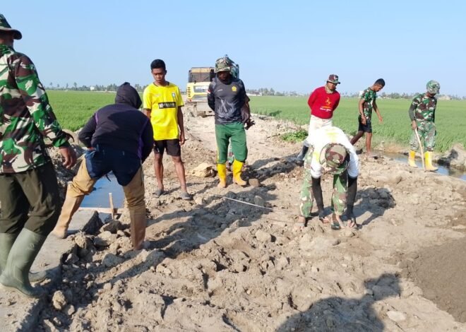 Panorama Sawah Menghijau Bangkitkan Optimisme Satgas TMMD Ke-129 Kodim 1404/Pinrang Kejar Penyelesaian Sasaran di Desa Tanratuo