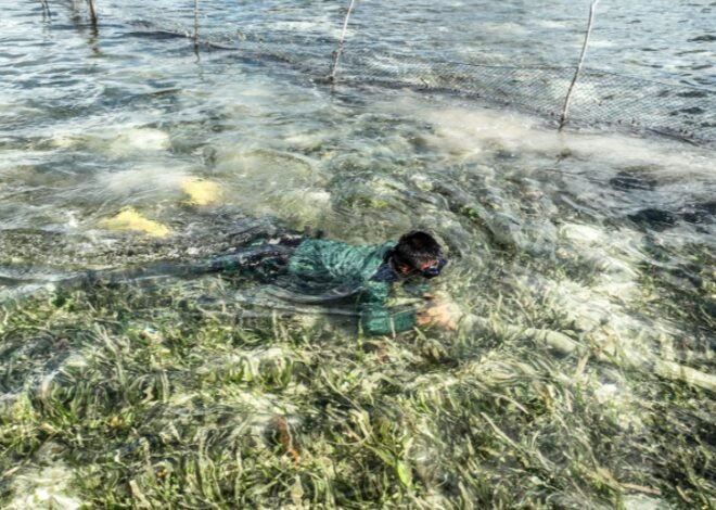 Satgas TMMD Ke-129 Turun Menyelam Periksa Kebocoran Pipa Air Bersih di Laut
