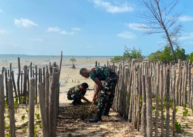 Dukung Kelestarian Lingkungan, Satgas TMMD Ke-129 Bersihkan Lokasi Penanaman Mangrove