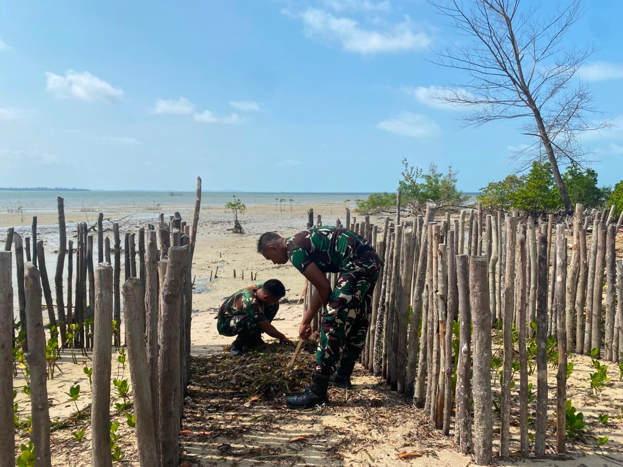 Dukung Kelestarian Lingkungan, Satgas TMMD Ke-129 Bersihkan Lokasi Penanaman Mangrove