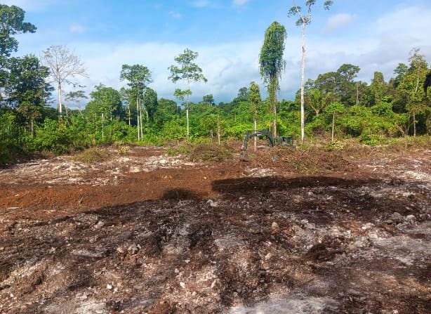 Tim TMMD Ke-129 Selesaikan Pembukaan Lahan Pangan di Sesor