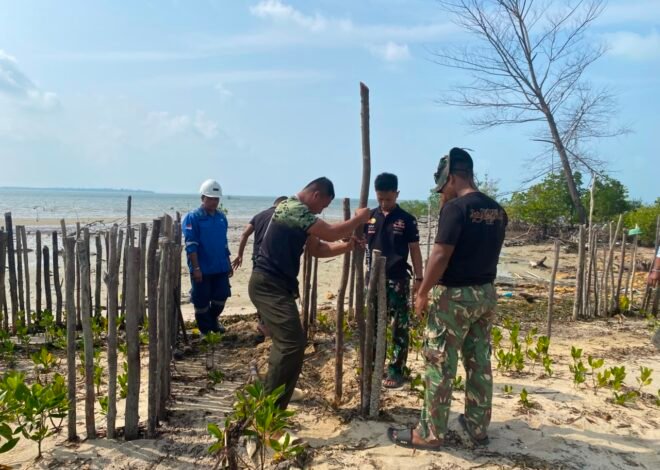 Peduli Lingkungan Pesisir, Satgas TMMD Ke-129 Tanam Mangrove dan Bangun Pagar Pelindung