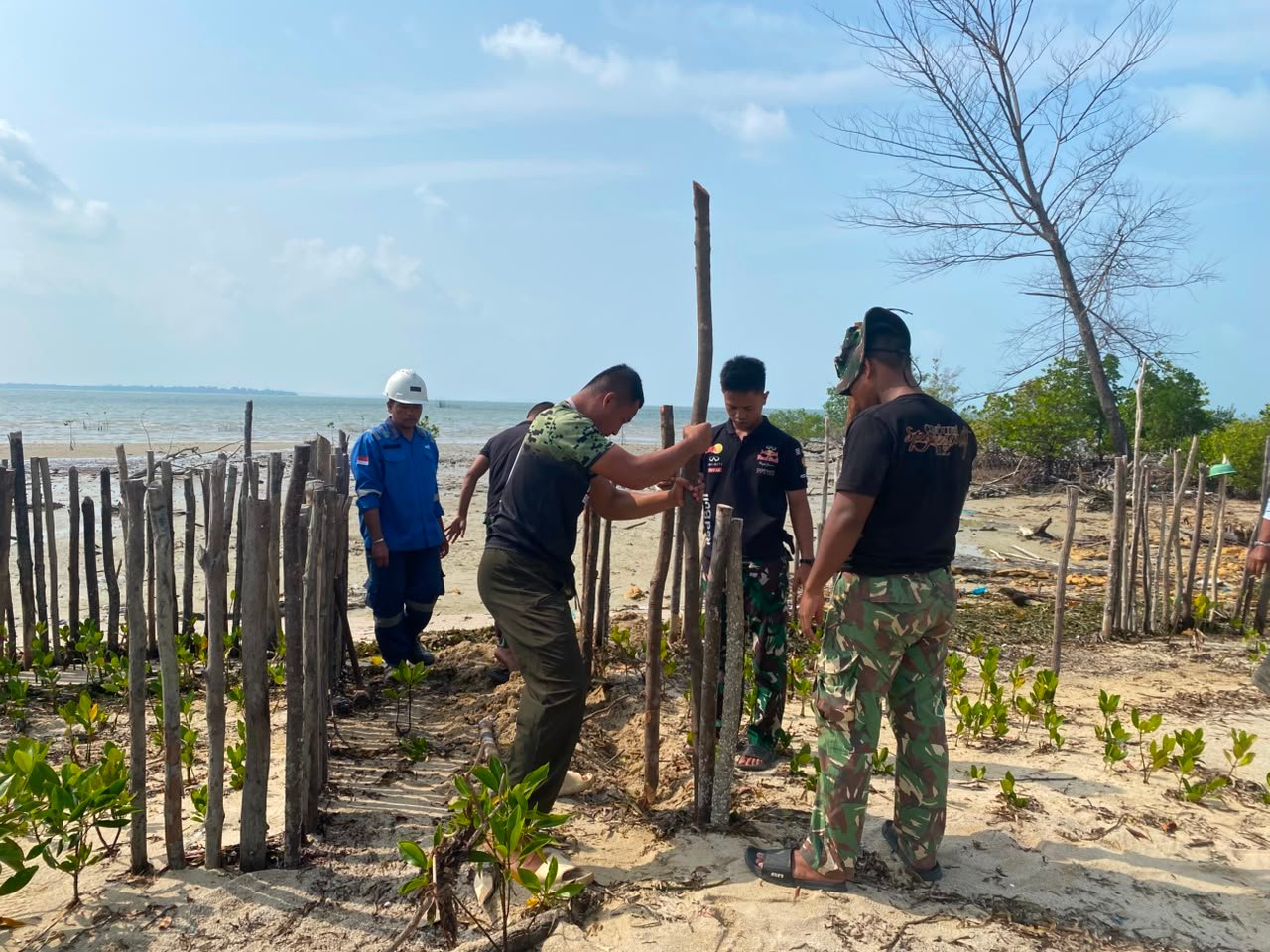 Peduli Lingkungan Pesisir, Satgas TMMD Ke-129 Tanam Mangrove dan Bangun Pagar Pelindung