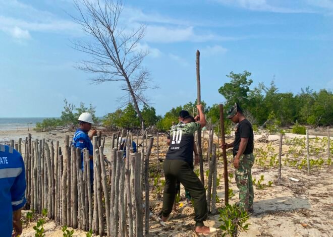 TMMD Ke-129 Kodim 0315/Tanjungpinang Hijaukan Pesisir Teluk Diraja dengan Penanaman Mangrove
