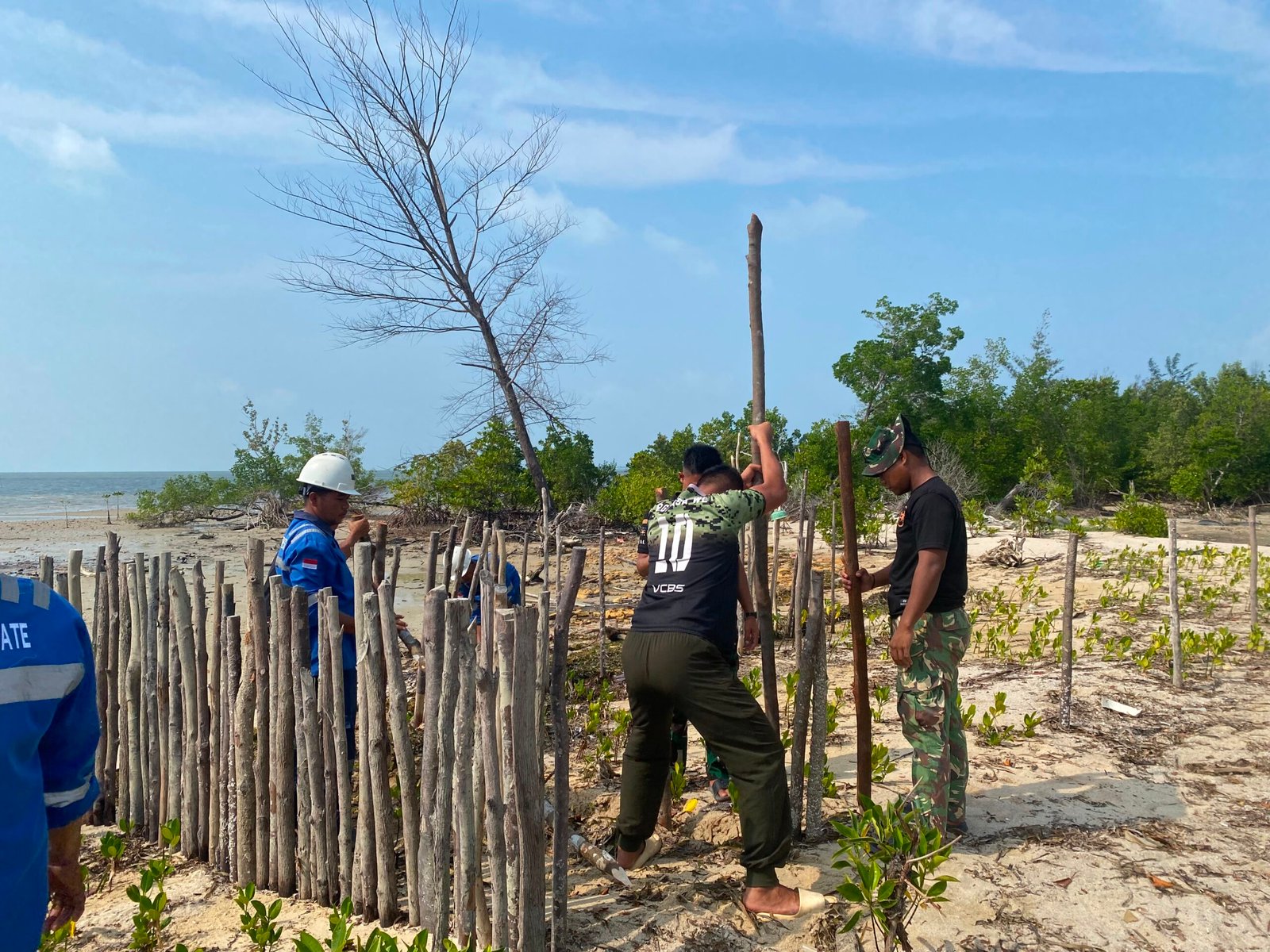 TMMD Ke-129 Kodim 0315/Tanjungpinang Hijaukan Pesisir Teluk Diraja dengan Penanaman Mangrove