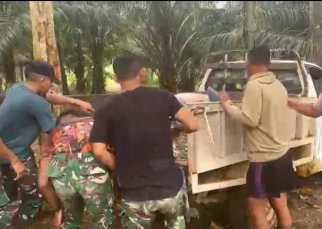 Memastikan Kelancaran Proyek, Satgas TMMD Kodim 1210/Landak Angkut Material Bersama