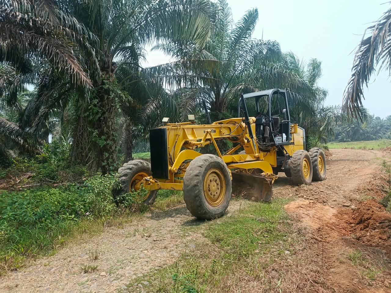Program TMMD ke-130: Pembangunan Jalan 2,9 Kilometer untuk Akses Lebih Baik di Bengkulu
