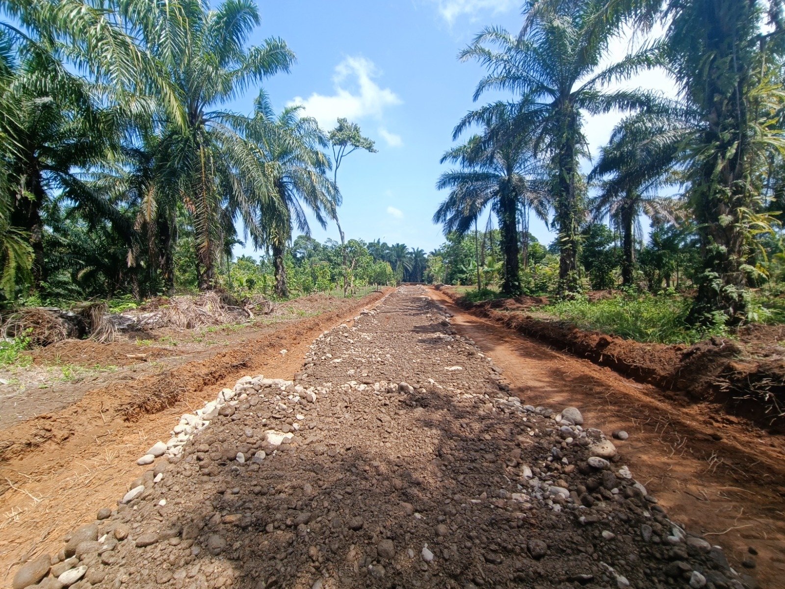 Jalan 2,9 Kilometer Pemicu Ekonomi dan Aksesibilitas di Bengkulu