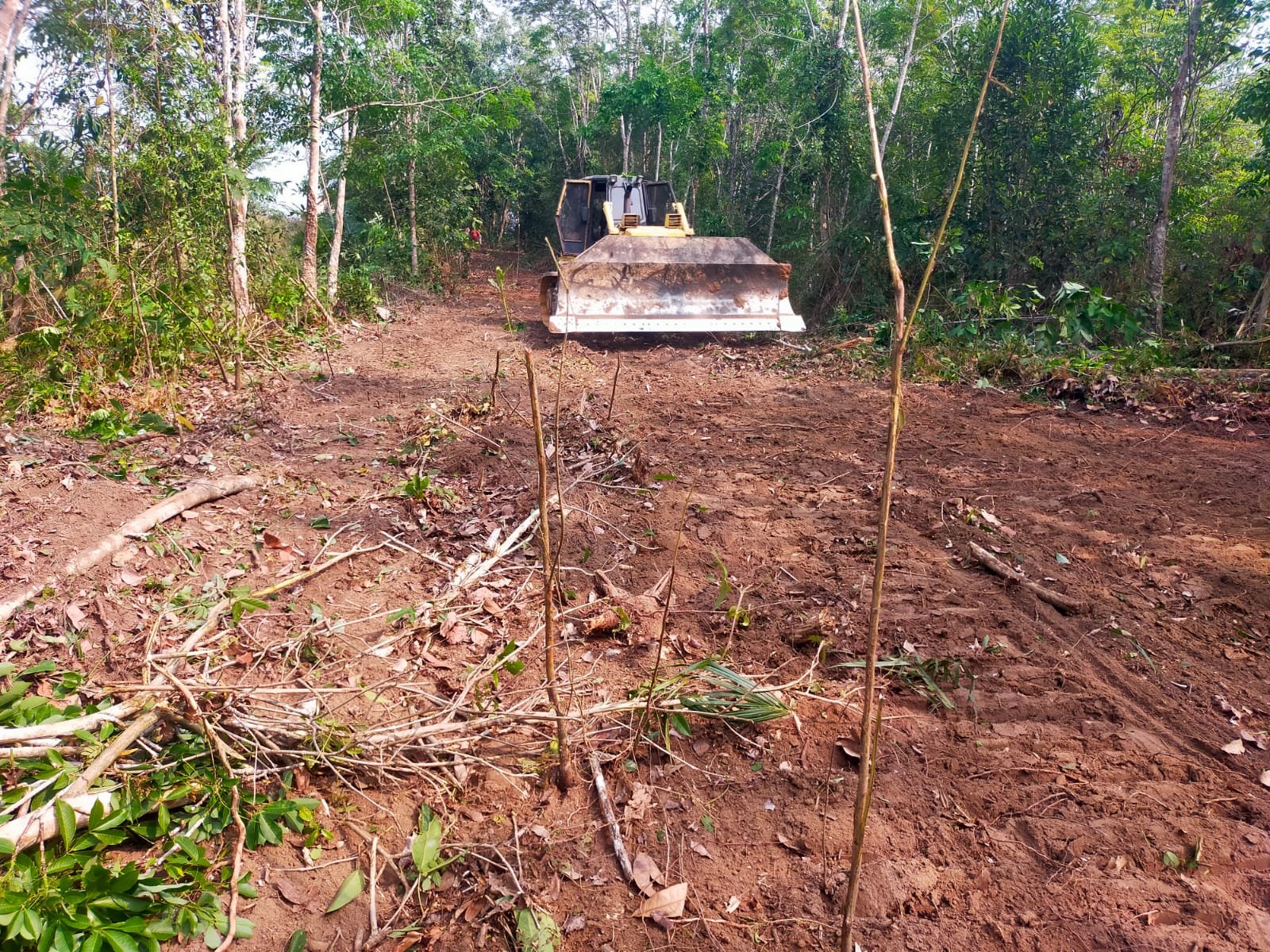 Akses Jalan Baru di Gunung Sangkaran Tingkatkan Kesejahteraan Pedesaan