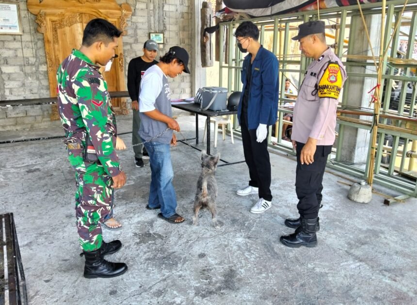 Keterlibatan Babinsa dalam Vaksin Rabies Tingkatkan Kesadaran Masyarakat di Tabanan