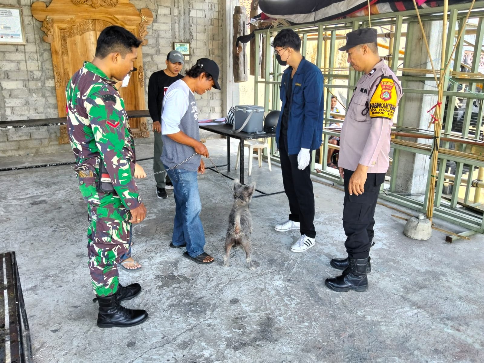 Keterlibatan Babinsa dalam Vaksin Rabies Tingkatkan Kesadaran Masyarakat di Tabanan